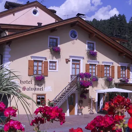 Hotel Salvanel-2
